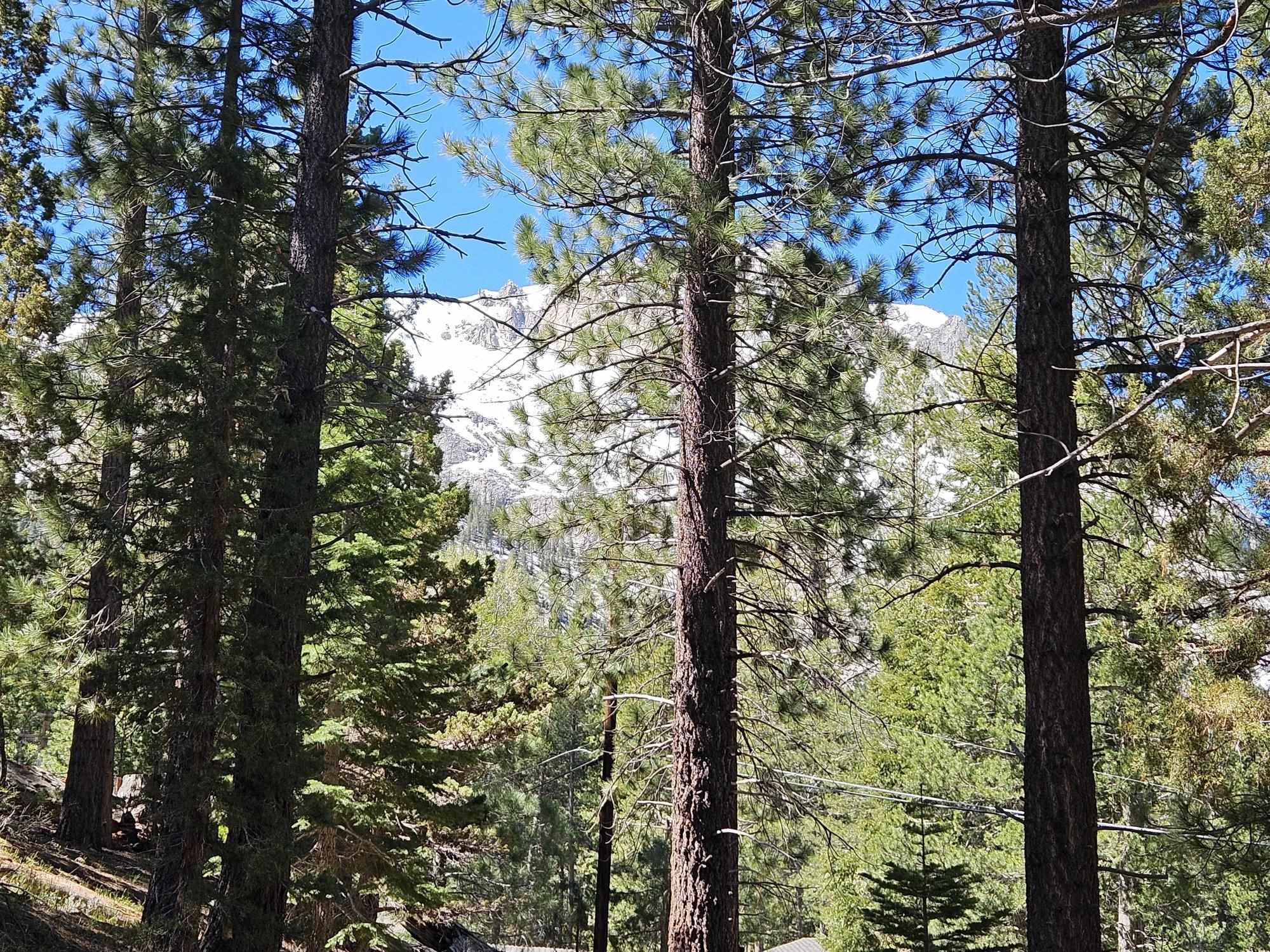 Lot 22 Aspen Road June Lake, CA 93529 - Photo 17 of 19