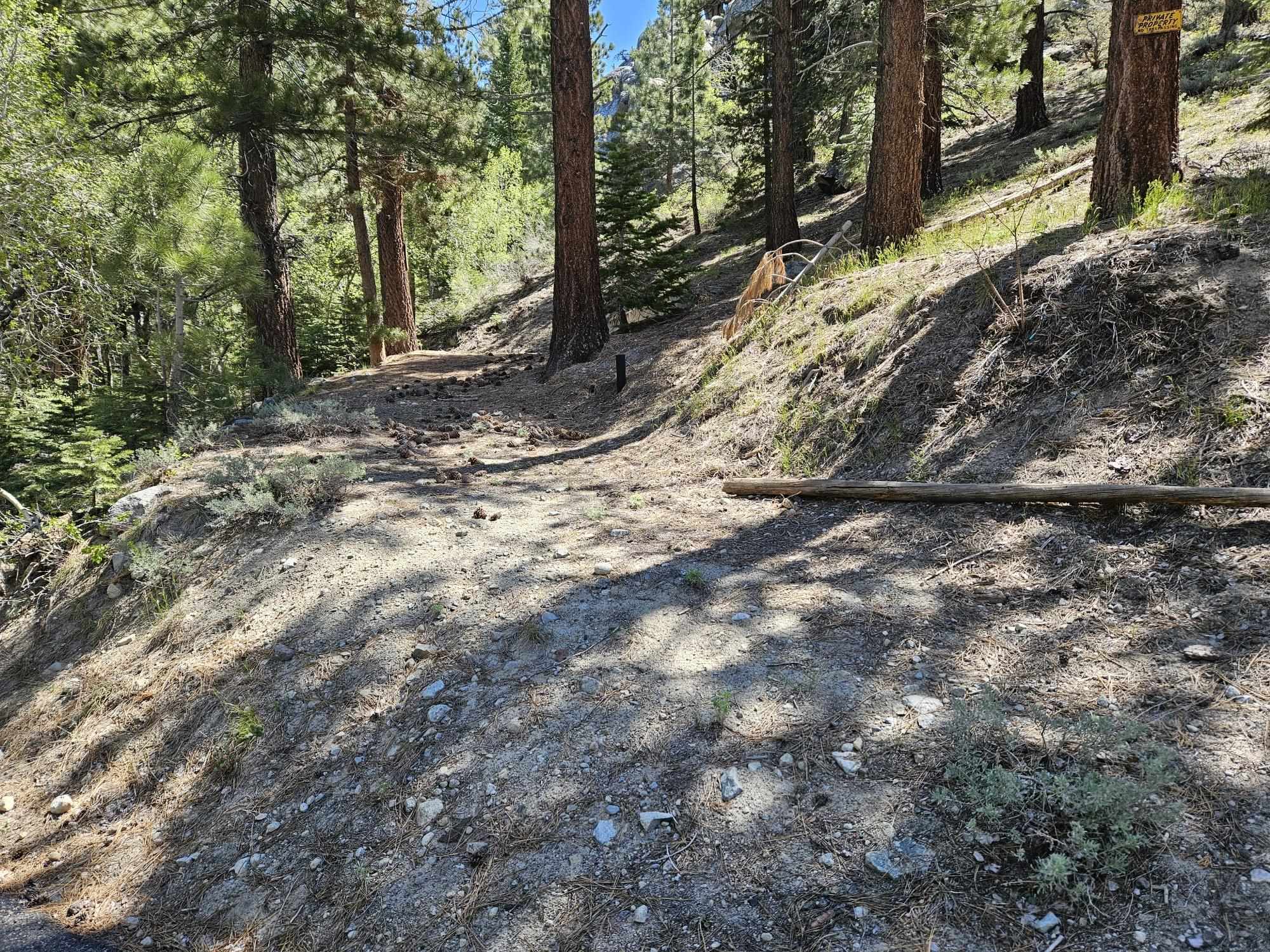 Lot 22 Aspen Road June Lake, CA 93529 - Photo 2 of 19
