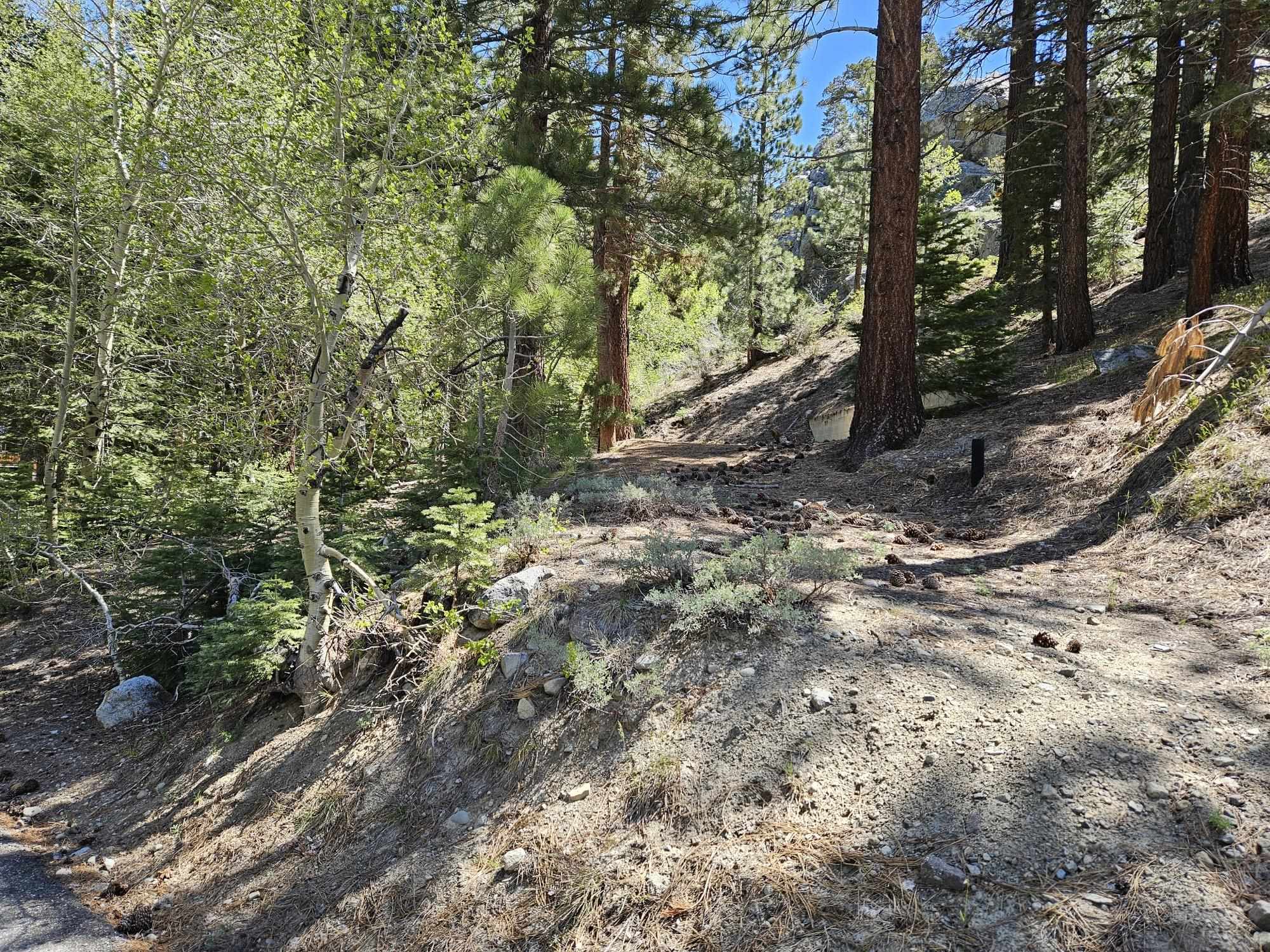 Lot 22 Aspen Road June Lake, CA 93529 - Photo 3 of 19