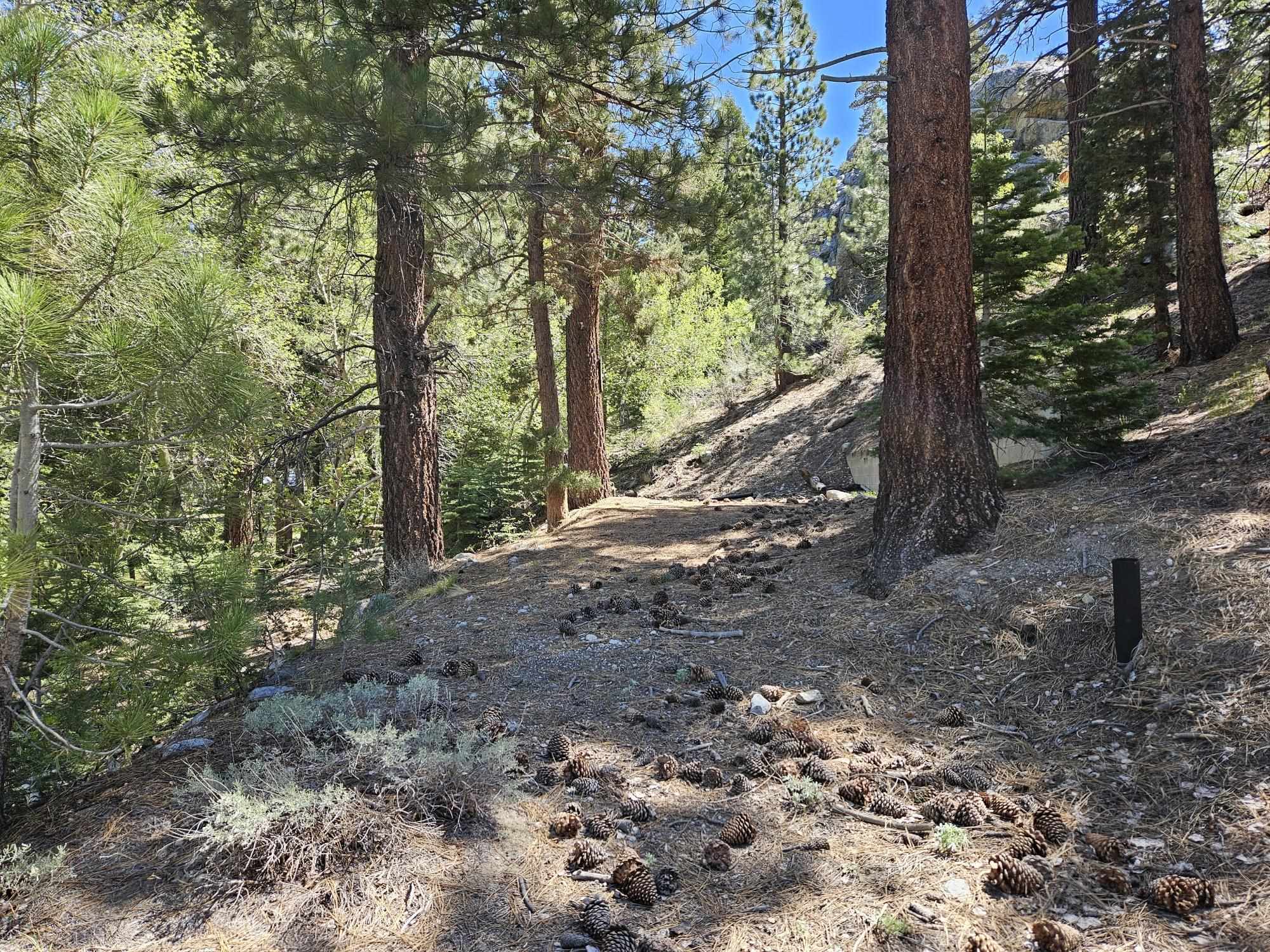Lot 22 Aspen Road June Lake, CA 93529 - Photo 5 of 19