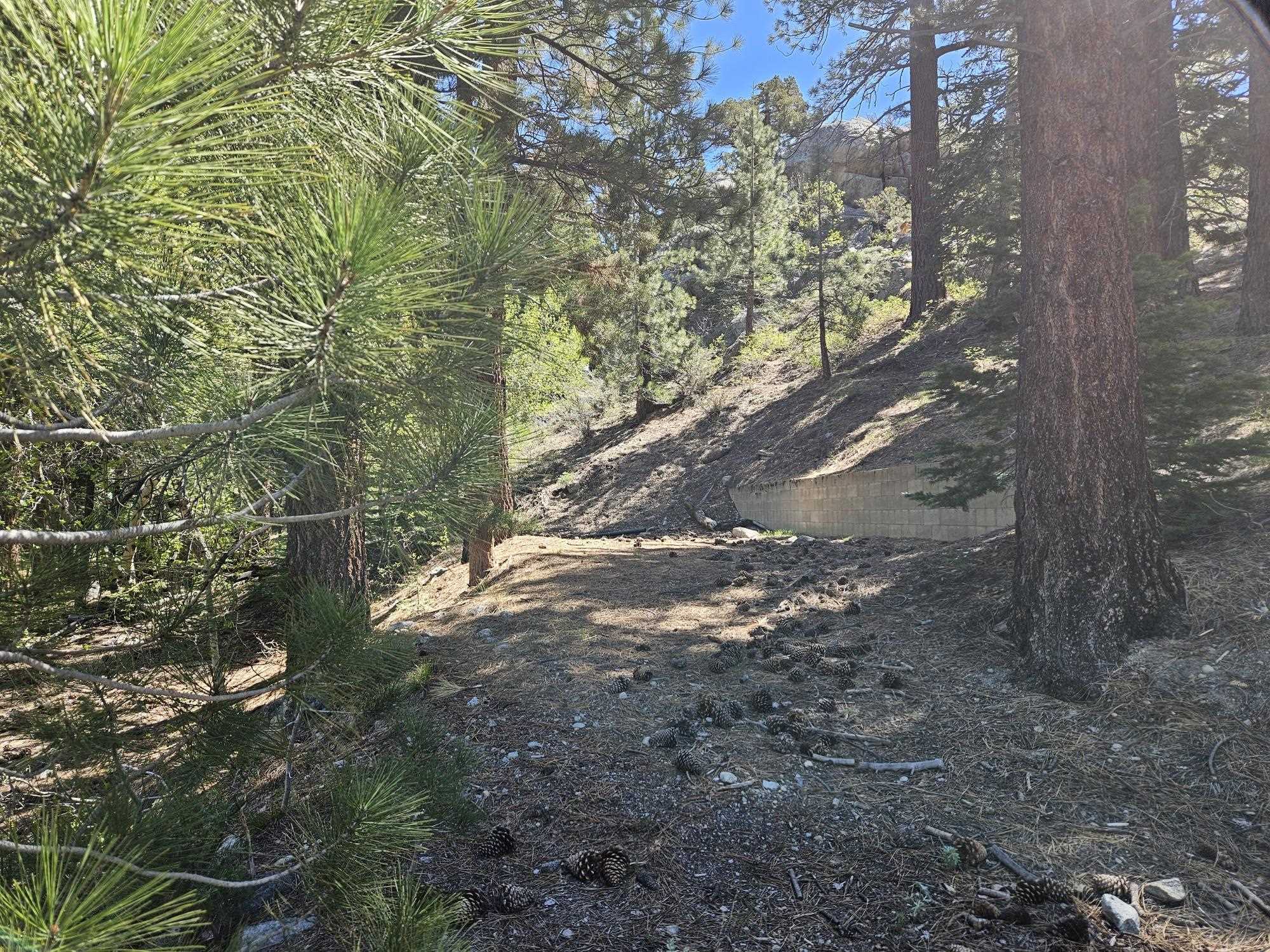 Lot 22 Aspen Road June Lake, CA 93529 - Photo 6 of 19