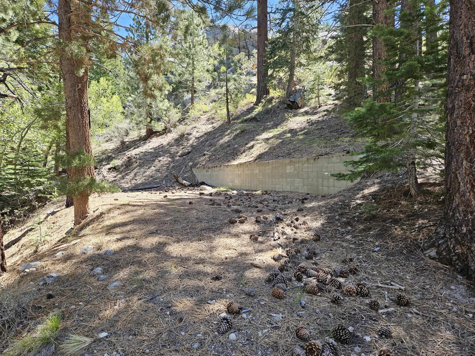 Lot 22 Aspen Road June Lake, CA 93529 - Photo 7 of 19