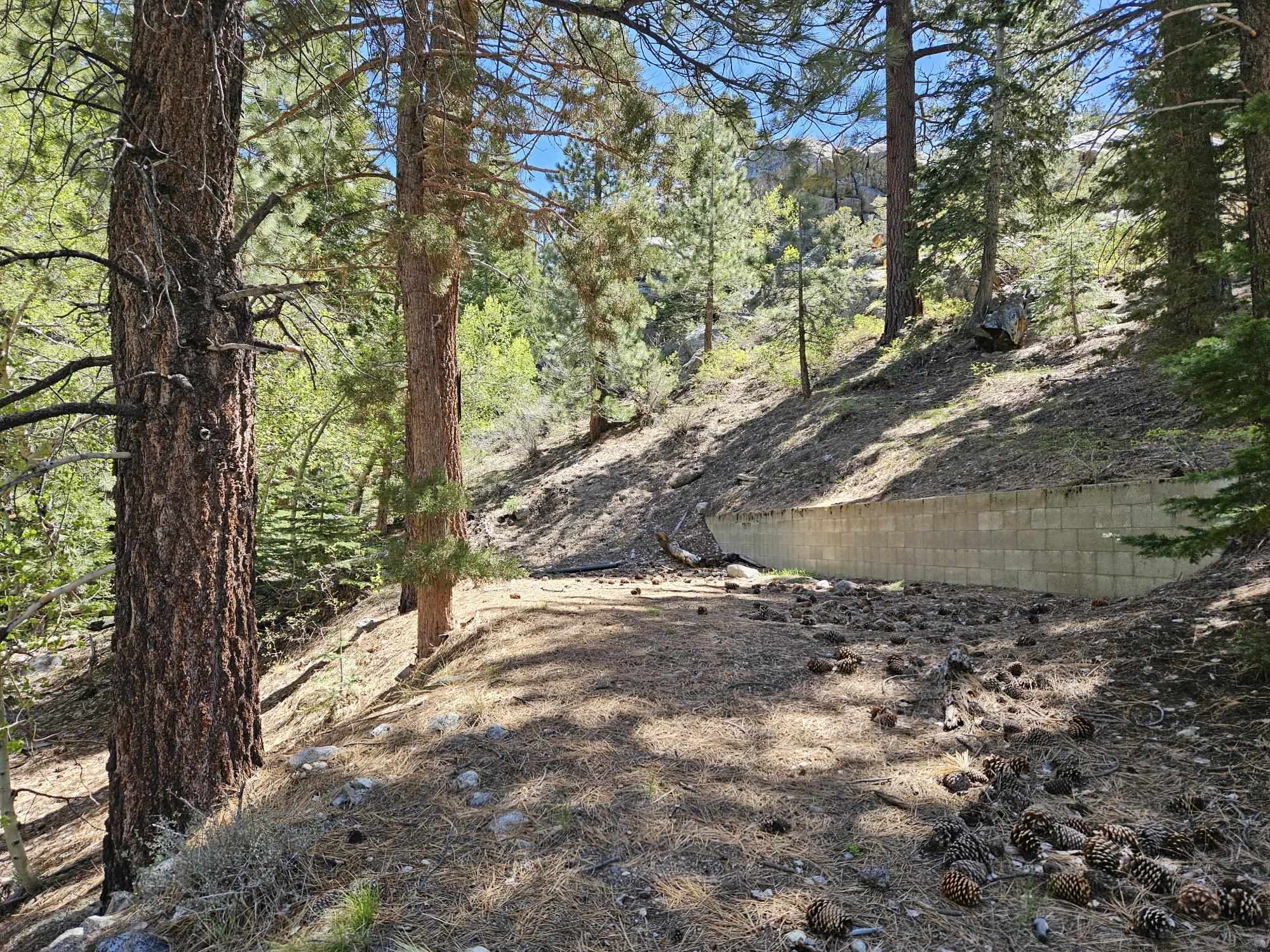 Lot 22 Aspen Road June Lake, CA 93529 - Photo 8 of 19