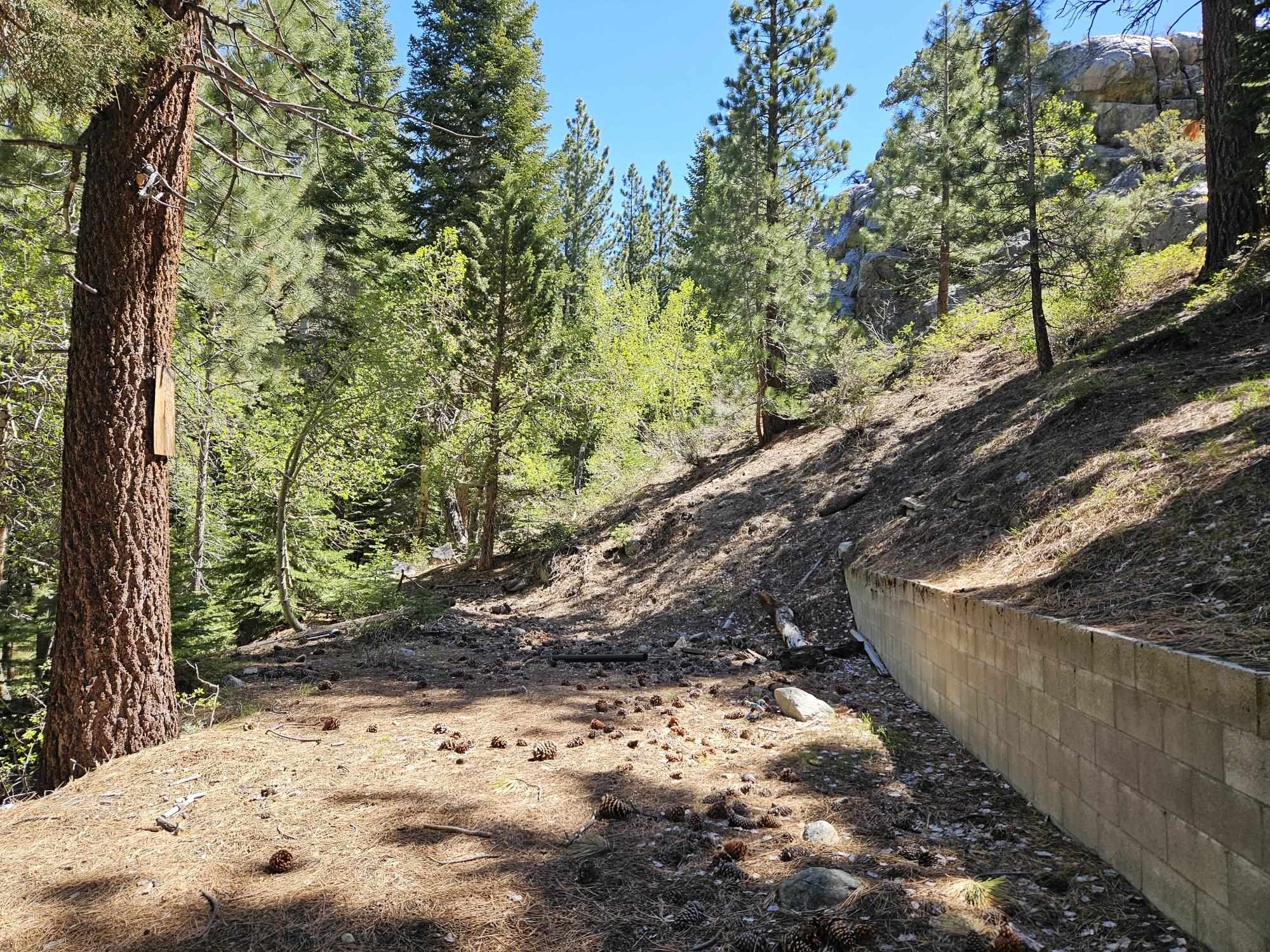 Lot 22 Aspen Road June Lake, CA 93529 - Photo 9 of 19