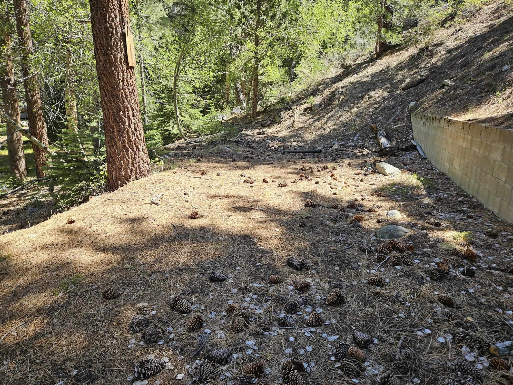 Lot 22 Aspen Road June Lake, CA 93529 - Photo 10 of 19