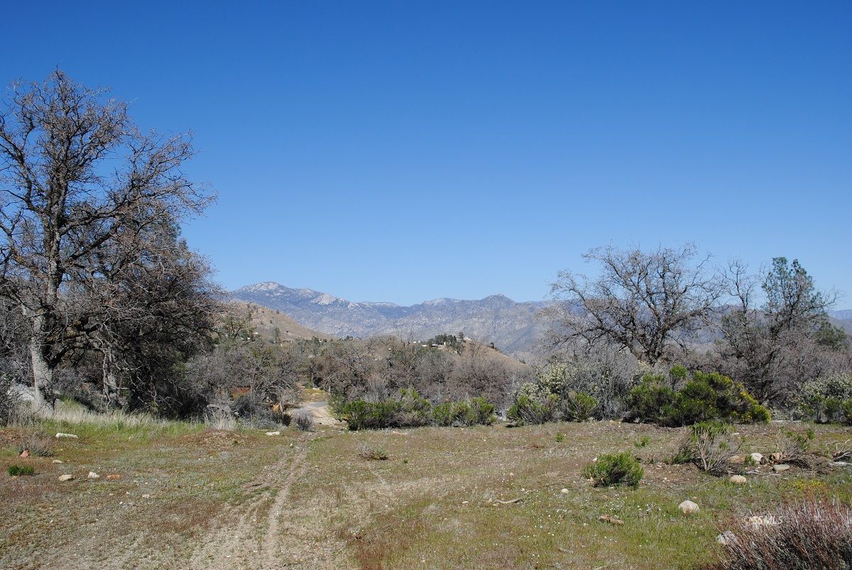 Old State Road Wofford Heights, CA 93285 - Photo 4 of 33 Gallery Image 4