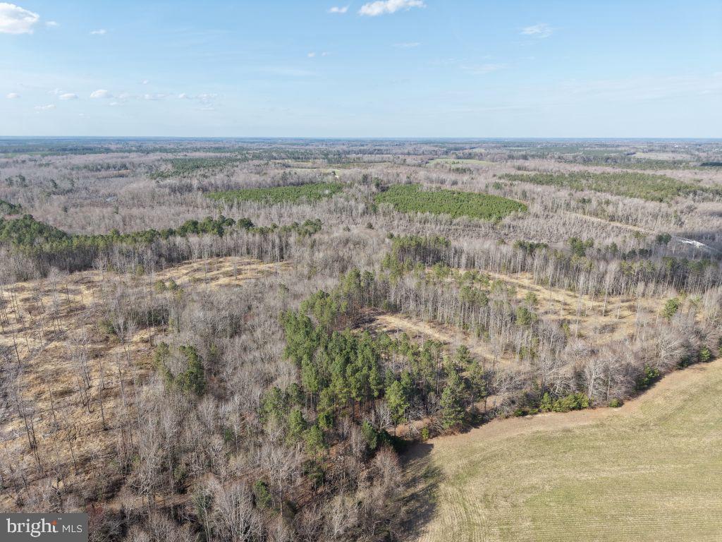Rock Spring Road King and Queen Court House, VA 23085 - Photo 8 of 13