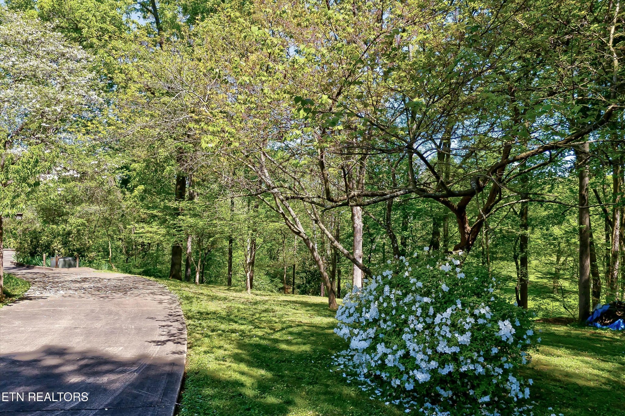 228 Oran Road Knoxville, TN 37934 - Photo 43 of 60 Gallery Image 43