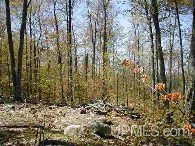 Tbd Off Craig Lake Road Michigamme, MI 49861 - Photo 1 of 23
