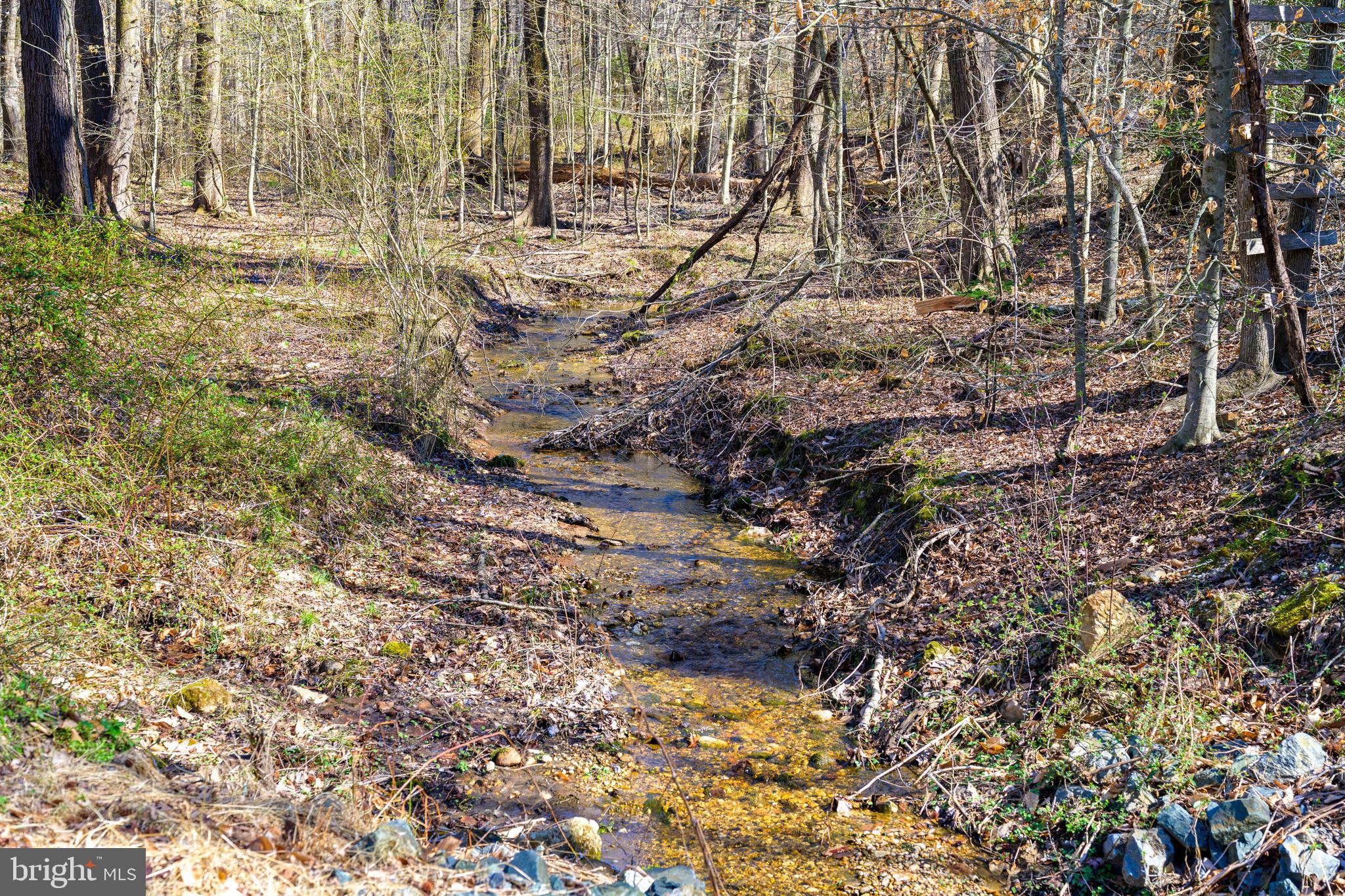 108 Springbrook Lane Millington, MD 21651 - Photo 10 of 48