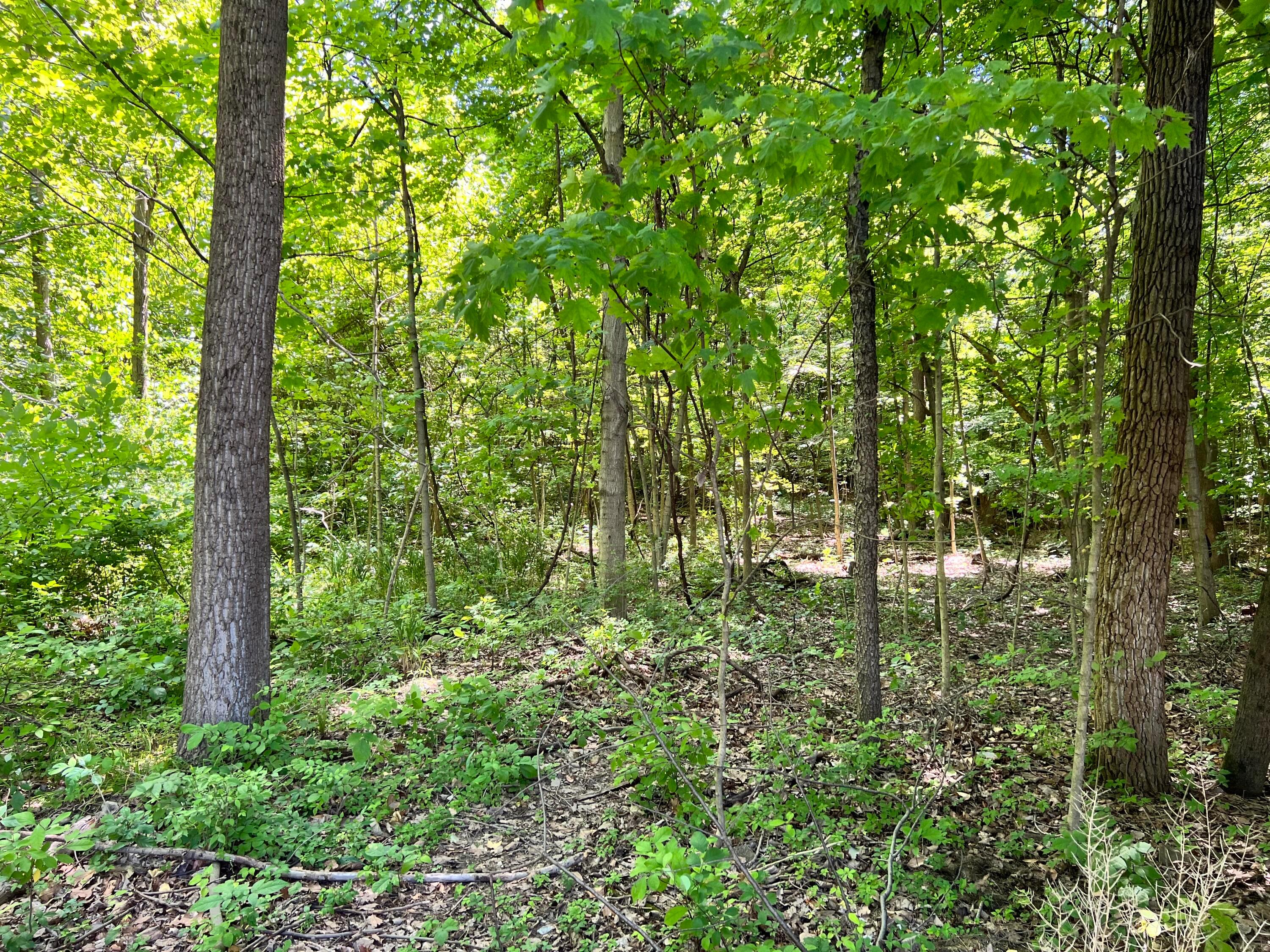 2731 Innis Road Columbus, OH 43224 - Photo 8 of 9 IMG-3939