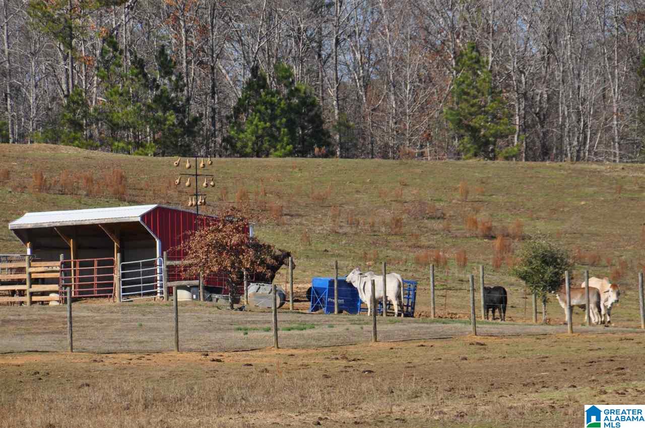 2395 Fairview Church Road Cleveland, AL 35049 - Photo 7 of 37