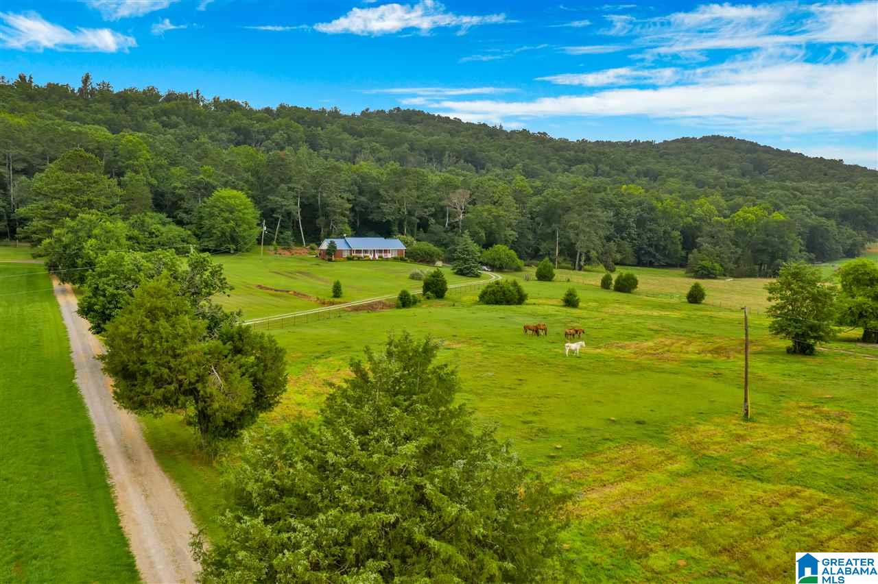 4367 County Road 39 Oneonta, AL 35121 - Photo 34 of 34