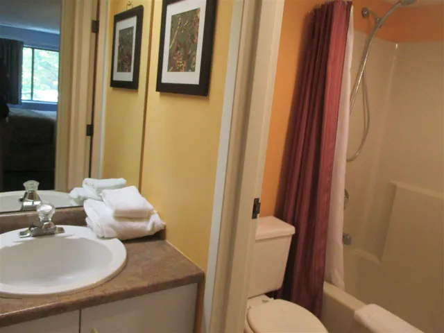 $9,000 | 23 Black Bear Way, Unit 202, Waterville Valley, NH 03215