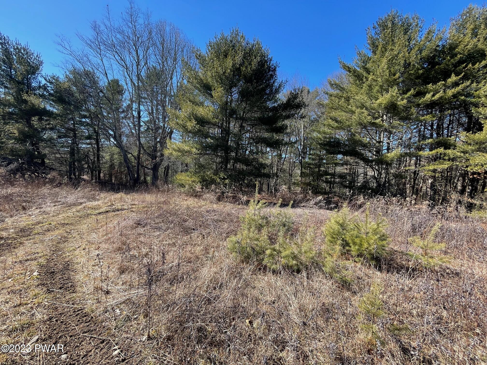 Lot 19 Mt Springs Road Milford, PA 18337 - Photo 2 of 11