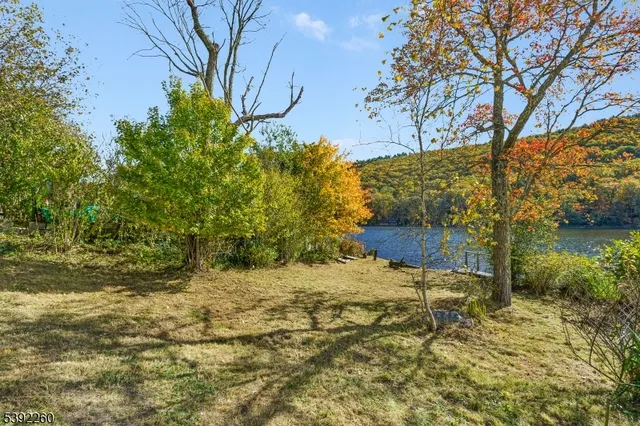 a view of a yard with trees