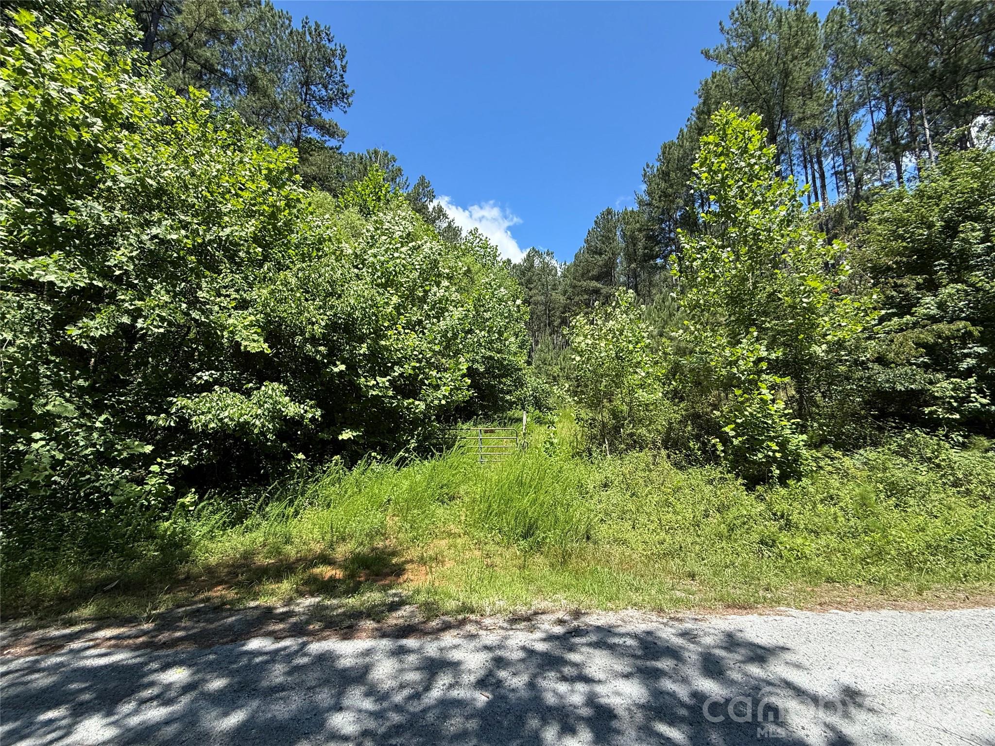 99999 Thompson Lake Road Rutherfordton, NC 28139 - Photo 8 of 24