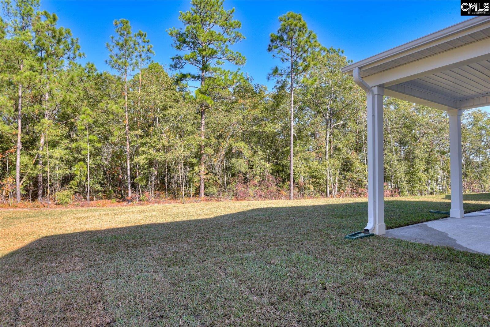 709 Feldspar Court Chapin, SC 29036 - Photo 38 of 40
