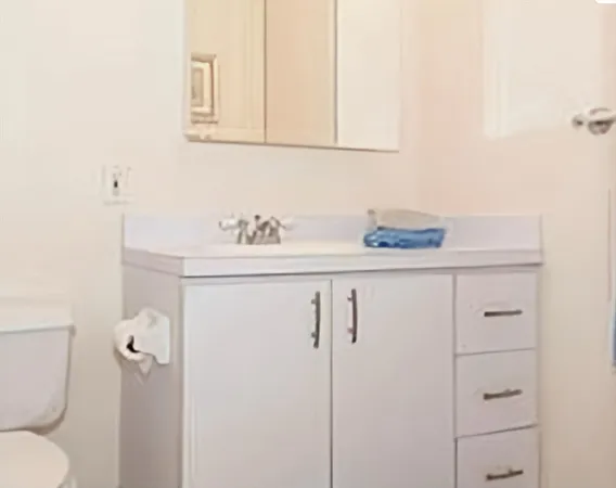 $3,200 | 33 Pond Avenue, Unit 312, Brookline, MA 02445