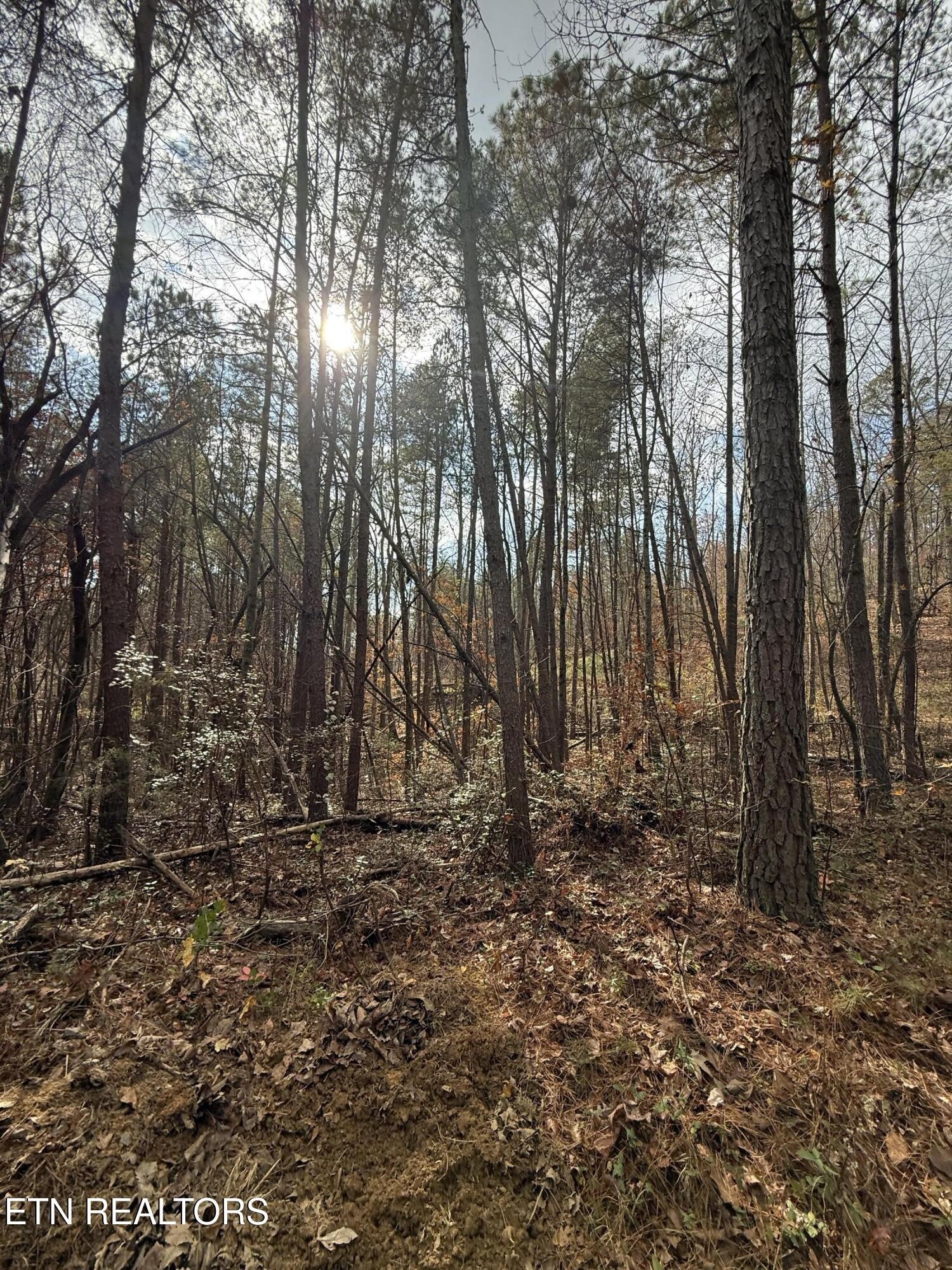 2 Parksville Road Benton, TN 37307 - Photo 7 of 16