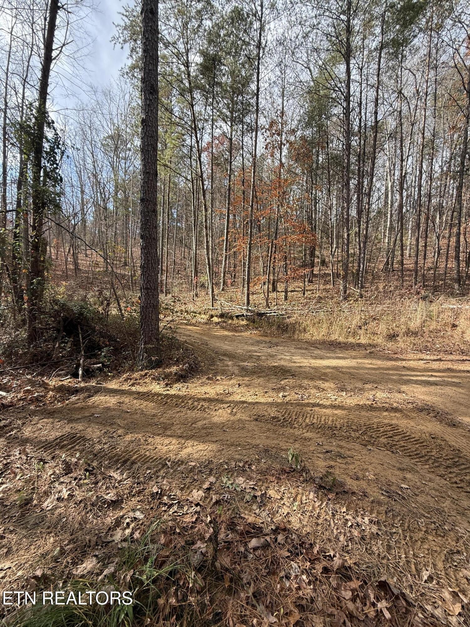 2 Parksville Road Benton, TN 37307 - Photo 9 of 16