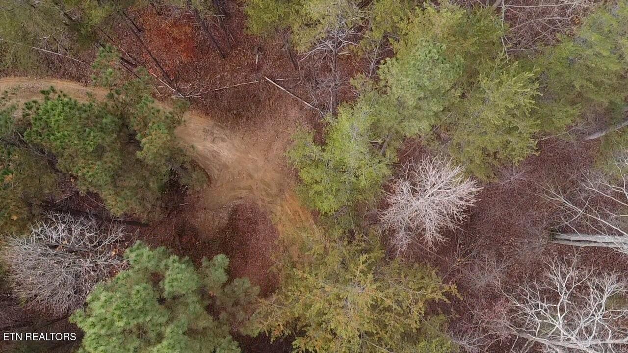 2 Parksville Road Benton, TN 37307 - Photo 10 of 16