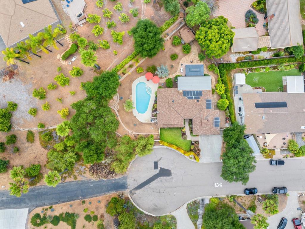 3625 Laketree Drive Fallbrook, CA 92028 - Photo 49 of 52 an aerial view of a house with a yard and a large tree