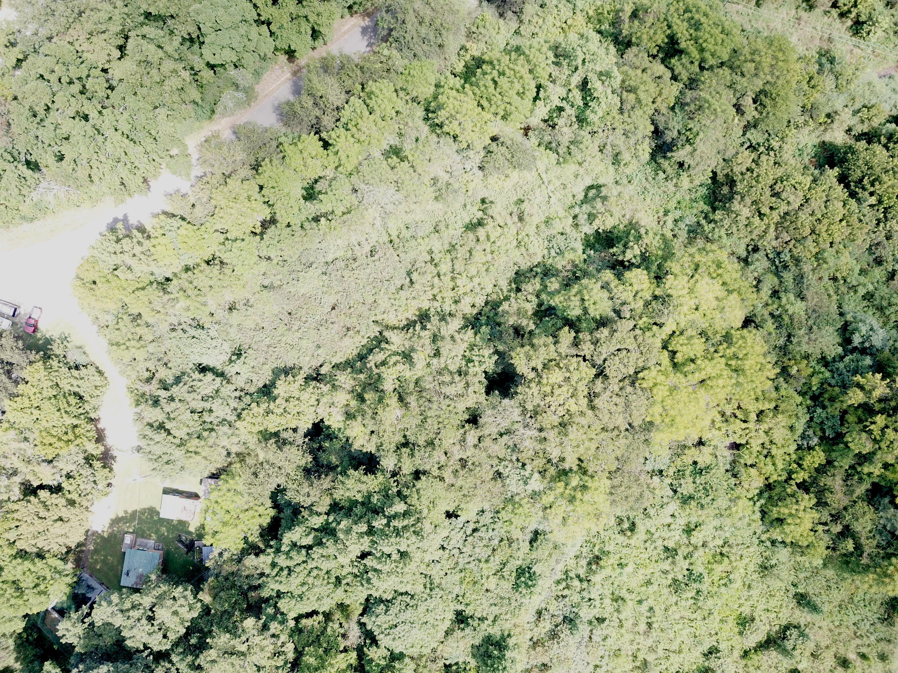 711 Clear Branch Road Loudon, TN 37774 - Photo 4 of 5 DJI_0019