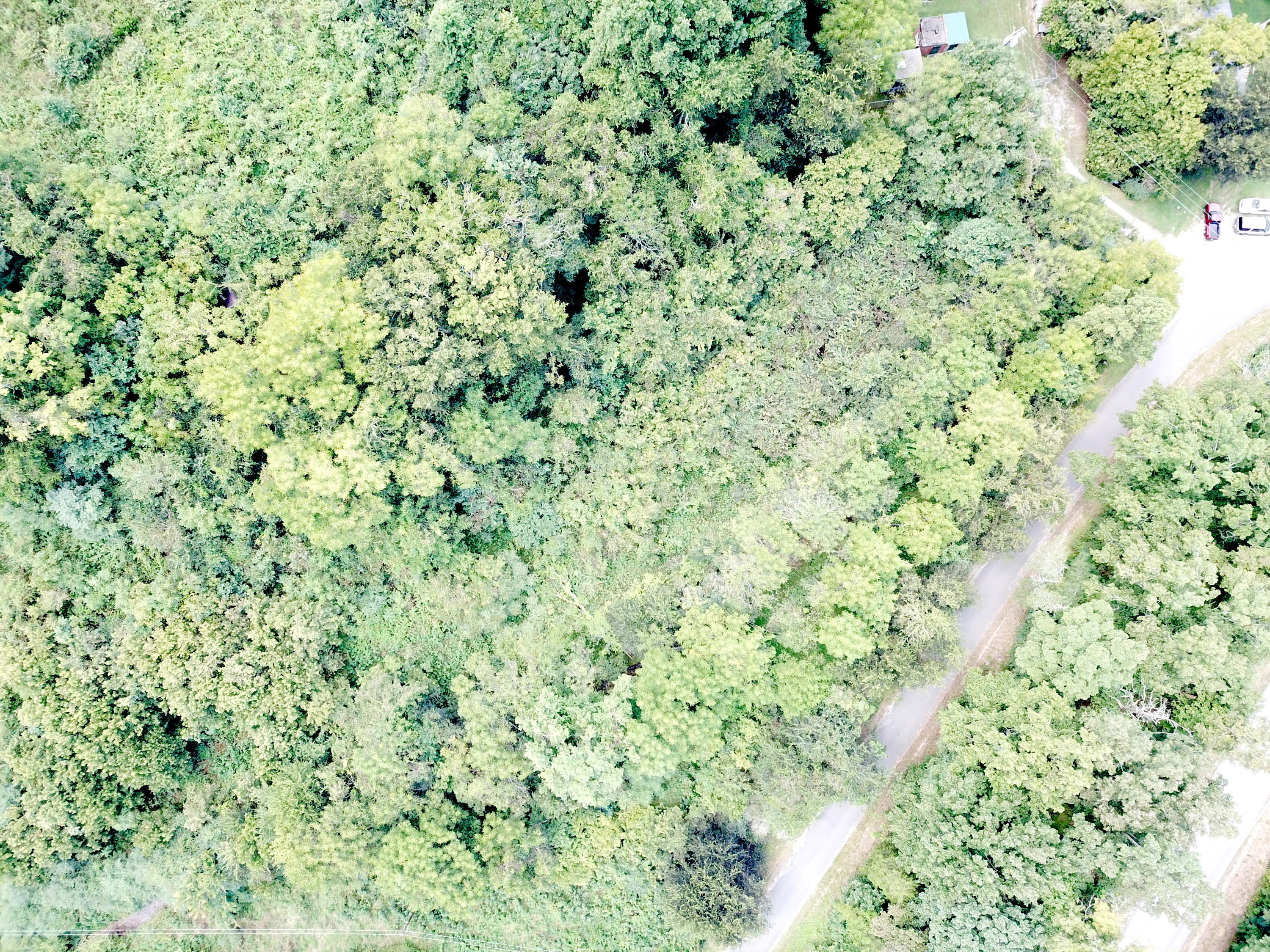 711 Clear Branch Road Loudon, TN 37774 - Photo 5 of 5 DJI_0022