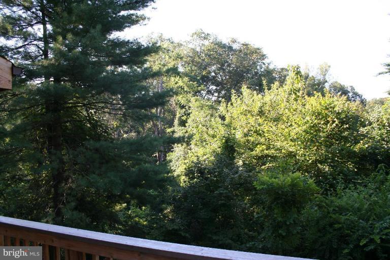 Deck - View from