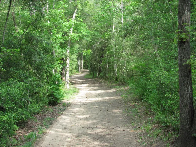 $1,700 | 628 Foster Street, Tomball, TX 77375