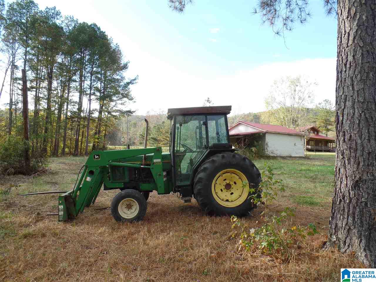 295 Horsley Road Ashville, AL 35953 - Photo 19 of 20