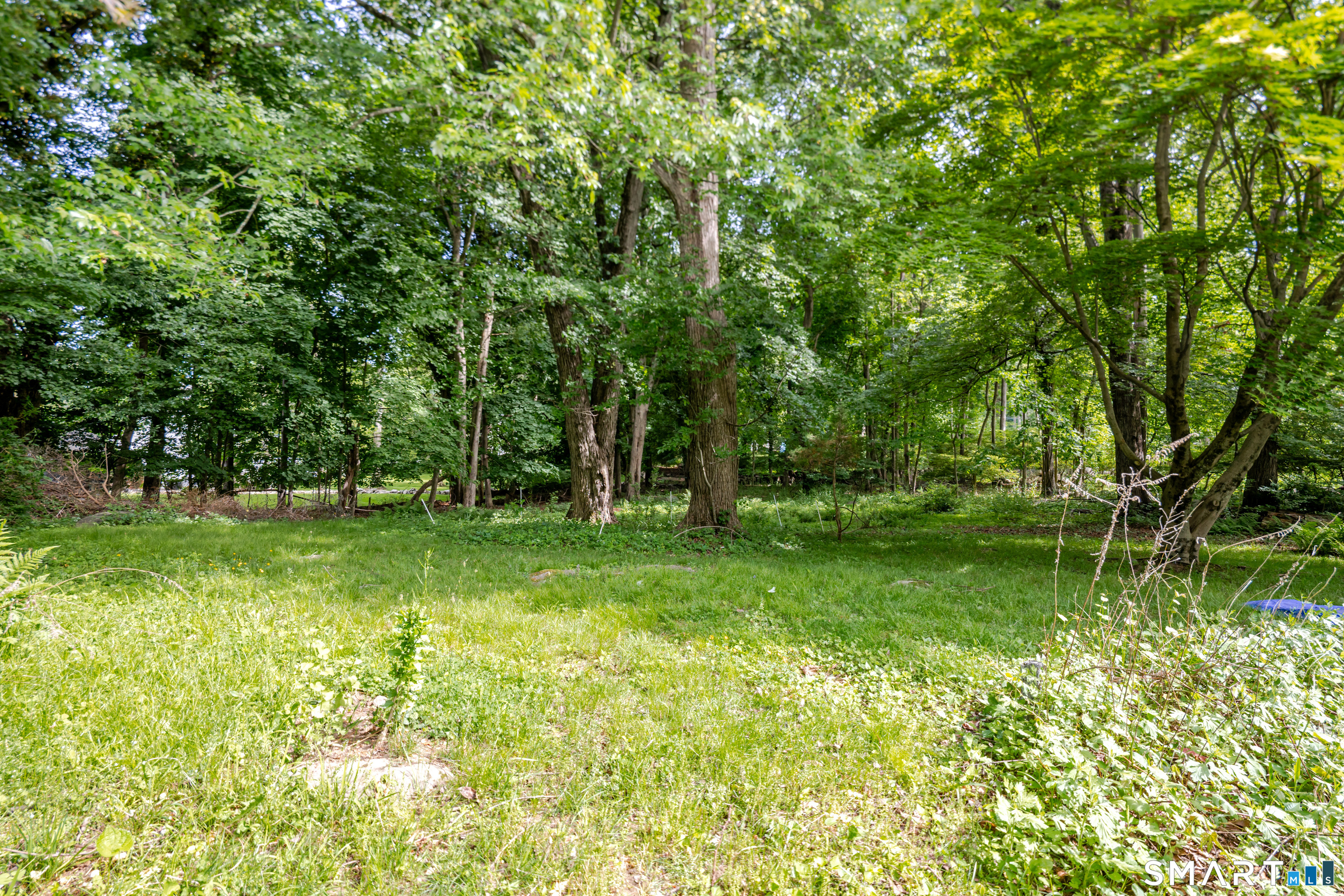 75 Westwood Road Stamford, CT 06902 - Photo 32 of 40 Backyard lawn