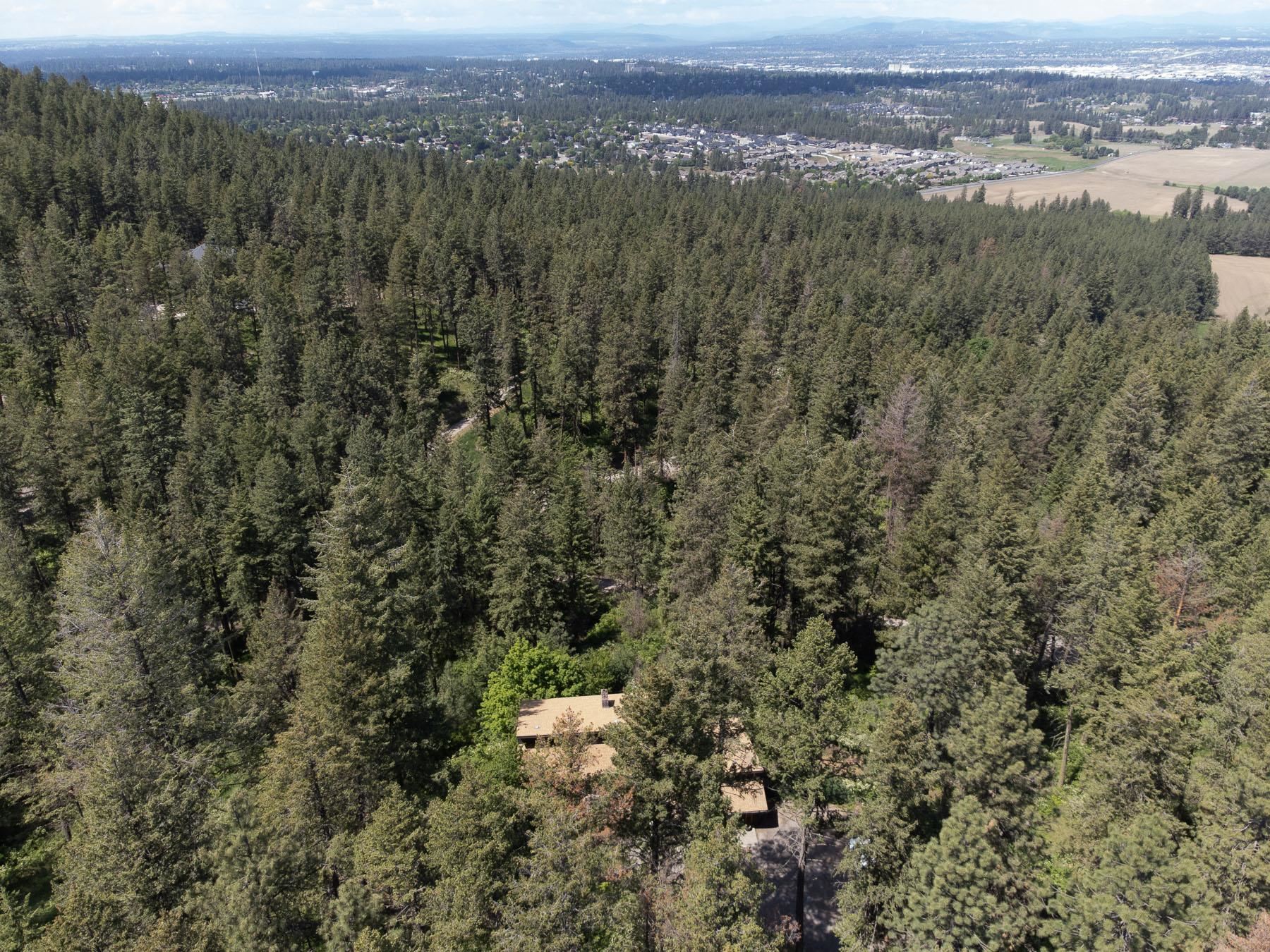 5414 South Corkery Road Spokane, WA 99223 - Photo 25 of 29