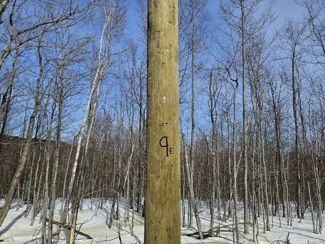 $124,999 | Lot#9-east Lot#9-east Moose Alley Road, Temple, ME 04984