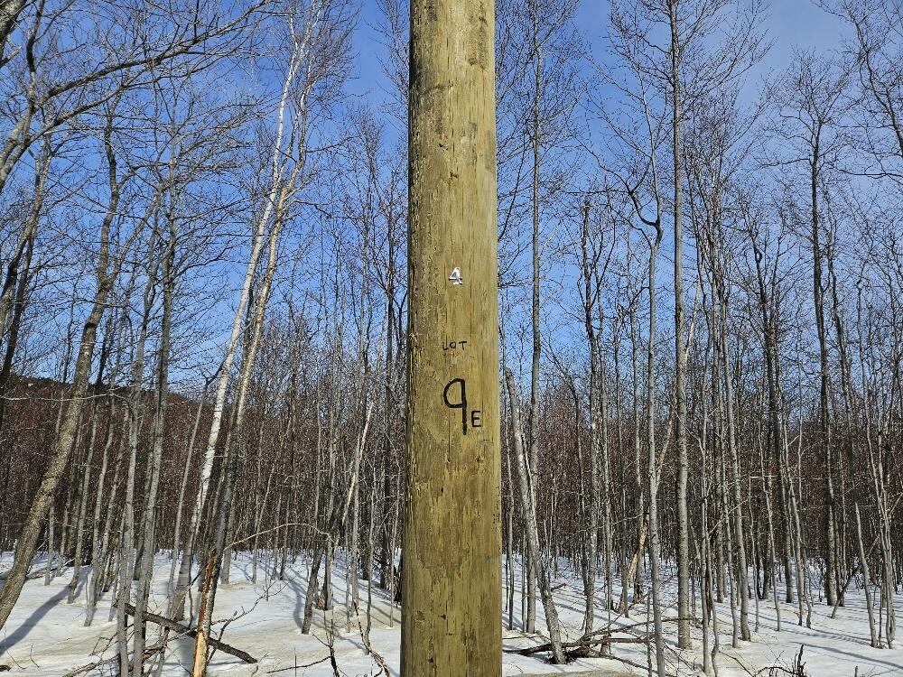 Lot#9-east Lot#9-east Moose Alley Road Temple, ME 04984 - Photo 19 of 67 20250313_133443_resized