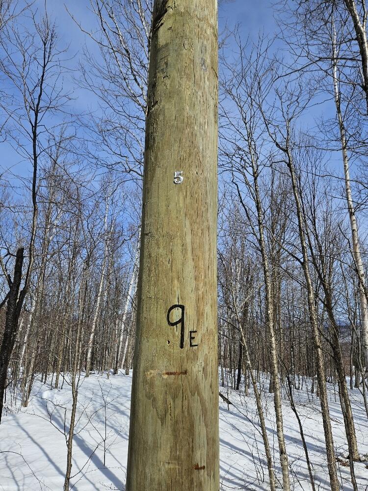 Lot#9-east Lot#9-east Moose Alley Road Temple, ME 04984 - Photo 20 of 67 20250313_133040_resized