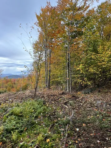 $124,999 | Lot#9-east Lot#9-east Moose Alley Road, Temple, ME 04984