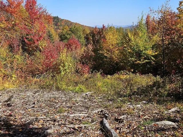 $124,999 | Lot#9-east Lot#9-east Moose Alley Road, Temple, ME 04984