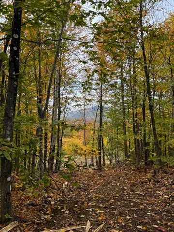 $124,999 | Lot#9-east Lot#9-east Moose Alley Road, Temple, ME 04984