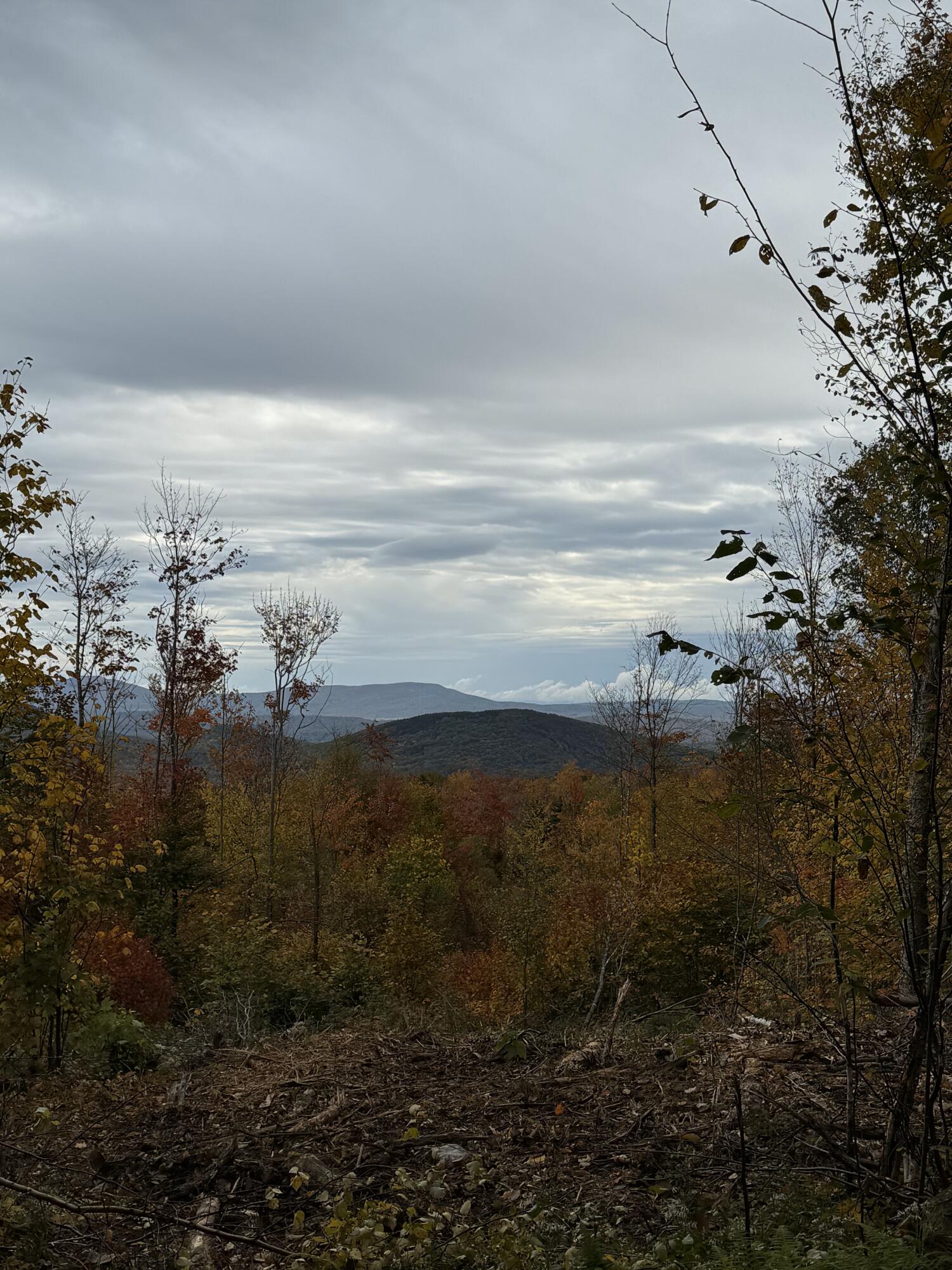 Lot#9-east Lot#9-east Moose Alley Road Temple, ME 04984 - Photo 33 of 67 Unknown (6)