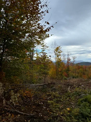 $124,999 | Lot#9-east Lot#9-east Moose Alley Road, Temple, ME 04984