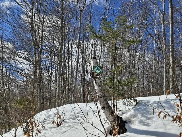 $124,999 | Lot#9-east Lot#9-east Moose Alley Road, Temple, ME 04984
