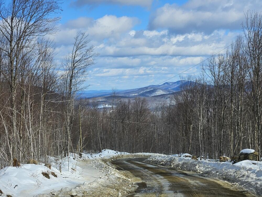Lot#9-east Lot#9-east Moose Alley Road Temple, ME 04984 - Photo 47 of 67 20250226_114714_resized
