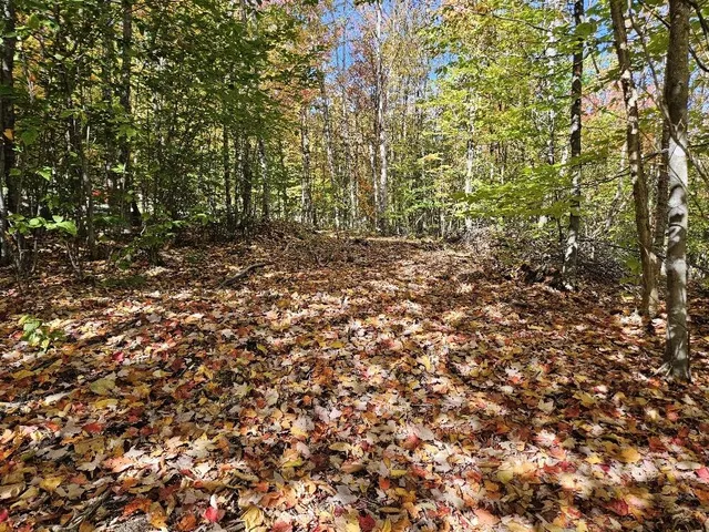 $124,999 | Lot#9-east Lot#9-east Moose Alley Road, Temple, ME 04984