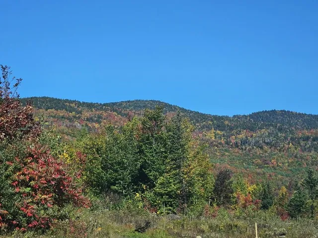 $124,999 | Lot#9-east Lot#9-east Moose Alley Road, Temple, ME 04984