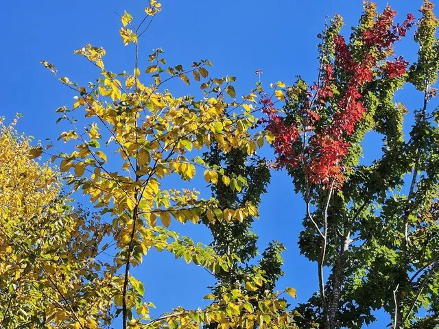 $124,999 | Lot#9-east Lot#9-east Moose Alley Road, Temple, ME 04984