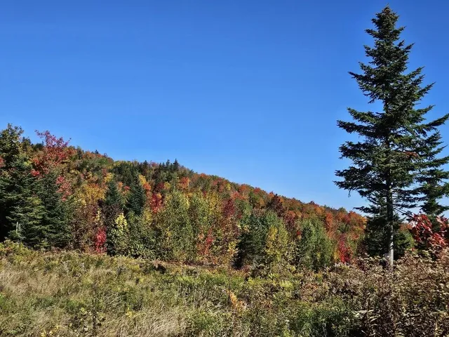 $124,999 | Lot#9-east Lot#9-east Moose Alley Road, Temple, ME 04984