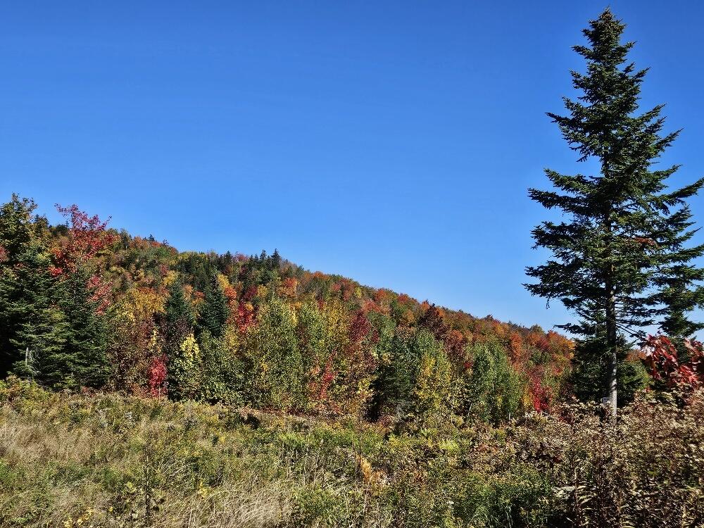 Lot#9-east Lot#9-east Moose Alley Road Temple, ME 04984 - Photo 66 of 67 20250927_102348_resized