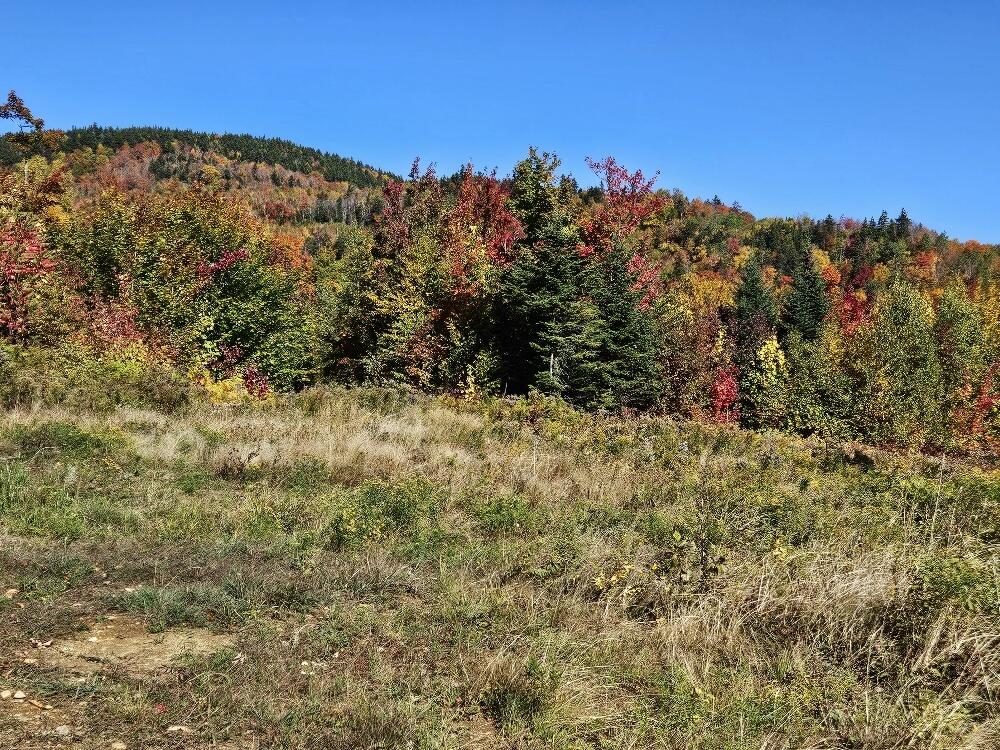 Lot#9-east Lot#9-east Moose Alley Road Temple, ME 04984 - Photo 67 of 67 20250927_102353_resized